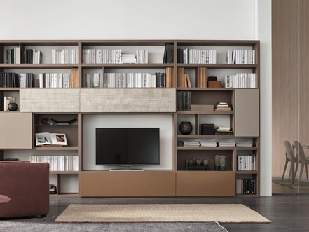 Sistema Spalla Comp SA2210