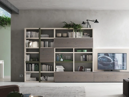 Sistema Spalla Comp SA2225